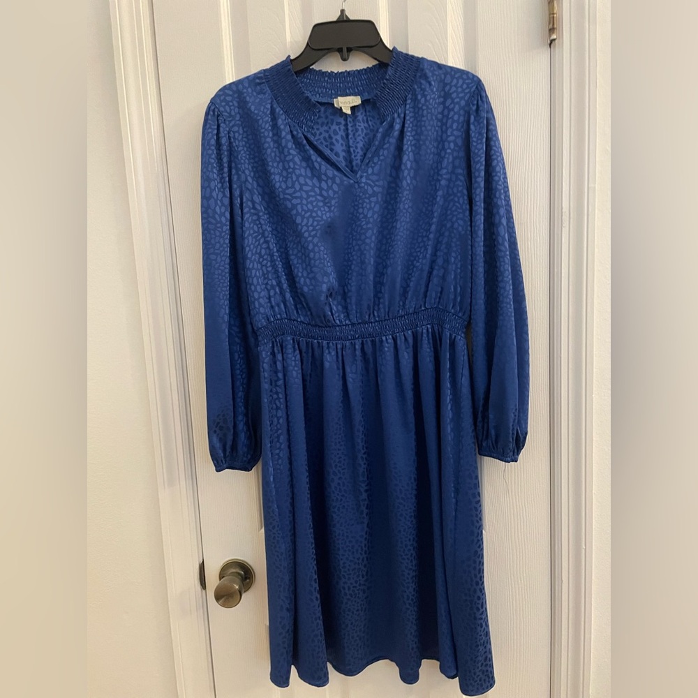 Blue Dress Large